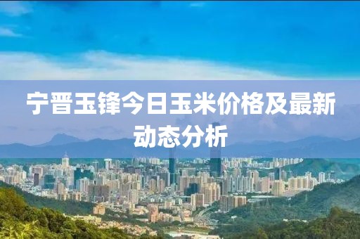 寧晉玉鋒今日玉米價(jià)格及最新動(dòng)態(tài)分析