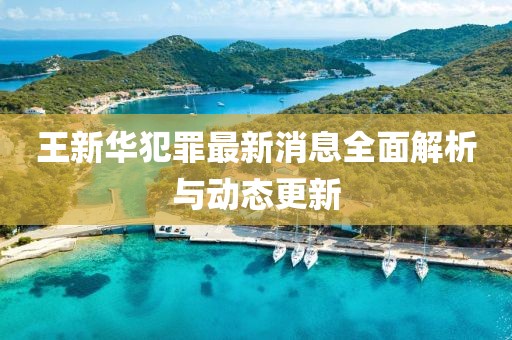 王新華犯罪最新消息全面解析與動(dòng)態(tài)更新