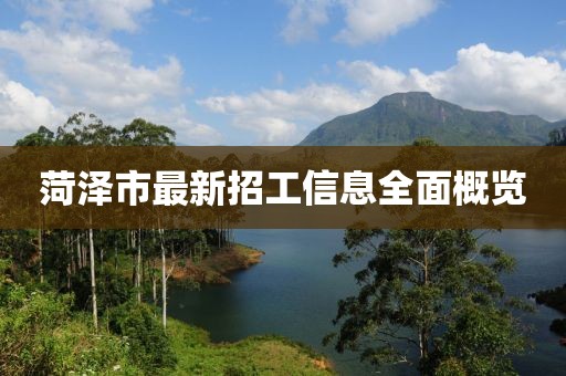 菏澤市最新招工信息全面概覽