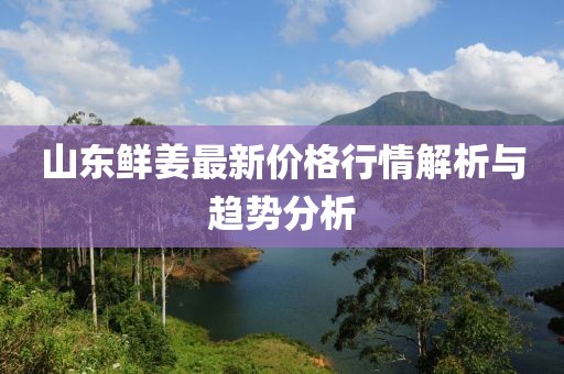 山東鮮姜最新價格行情解析與趨勢分析