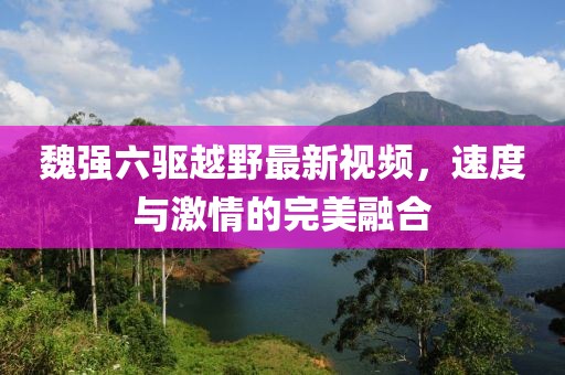 魏強(qiáng)六驅(qū)越野最新視頻，速度與激情的完美融合