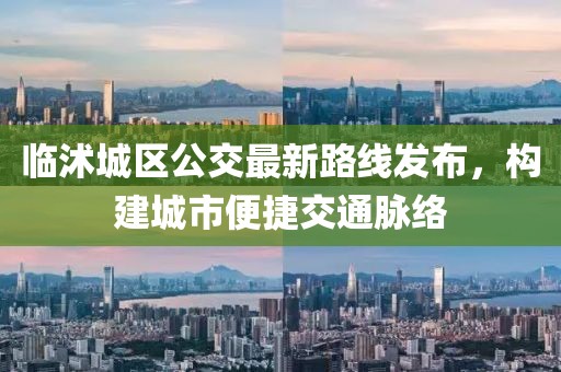 臨沭城區(qū)公交最新路線發(fā)布，構(gòu)建城市便捷交通脈絡(luò)