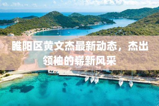 睢陽區(qū)黃文杰最新動態(tài)，杰出領(lǐng)袖的嶄新風采