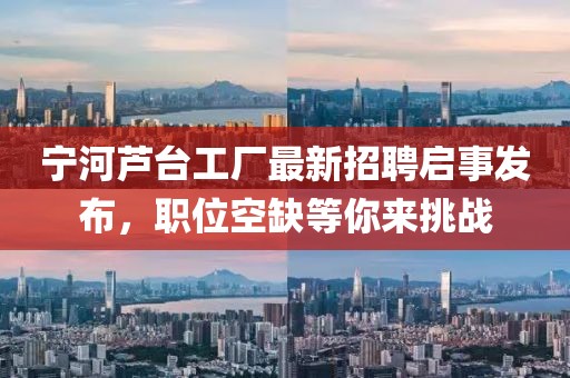 寧河蘆臺工廠最新招聘啟事發(fā)布，職位空缺等你來挑戰(zhàn)
