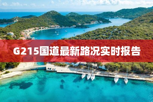 G215國道最新路況實時報告