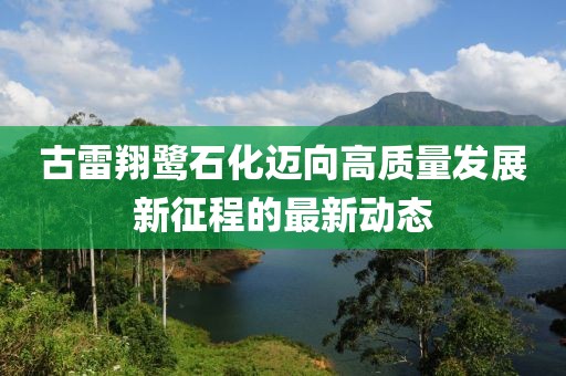 古雷翔鷺石化邁向高質量發(fā)展新征程的最新動態(tài)