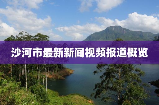沙河市最新新聞視頻報道概覽