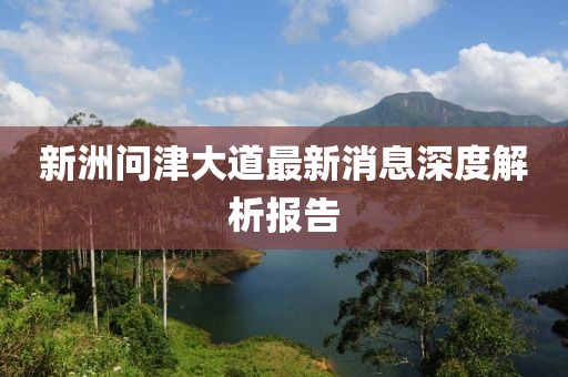 新洲問津大道最新消息深度解析報告