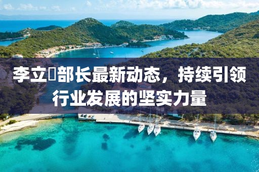 李立囯部長(zhǎng)最新動(dòng)態(tài)，持續(xù)引領(lǐng)行業(yè)發(fā)展的堅(jiān)實(shí)力量
