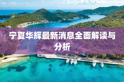寧夏華輝最新消息全面解讀與分析