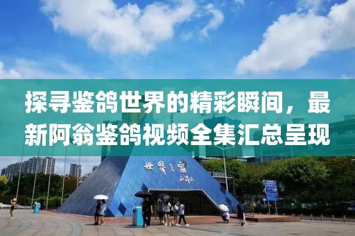 探尋鑒鴿世界的精彩瞬間，最新阿翁鑒鴿視頻全集匯總呈現(xiàn)