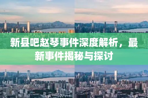 新縣吧趙琴事件深度解析，最新事件揭秘與探討