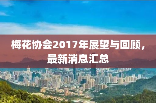 梅花協(xié)會2017年展望與回顧，最新消息匯總