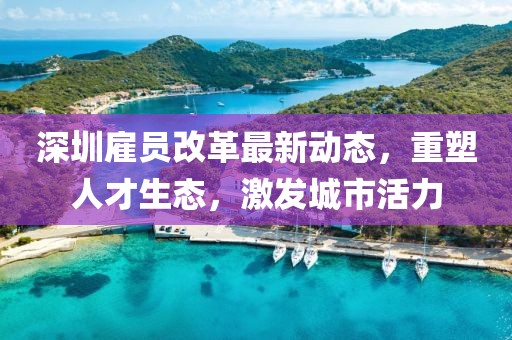 深圳雇員改革最新動態(tài)，重塑人才生態(tài)，激發(fā)城市活力