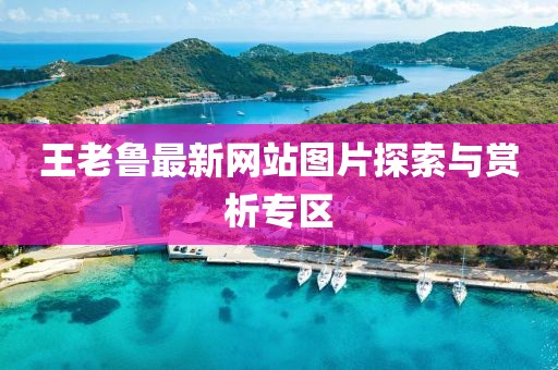 王老魯最新網(wǎng)站圖片探索與賞析專區(qū)