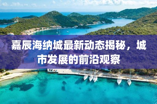 嘉辰海納城最新動(dòng)態(tài)揭秘，城市發(fā)展的前沿觀察
