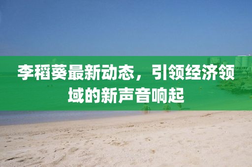 李稻葵最新動(dòng)態(tài)，引領(lǐng)經(jīng)濟(jì)領(lǐng)域的新聲音響起