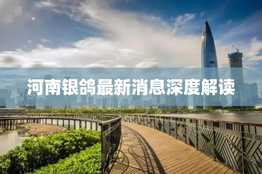 河南銀鴿最新消息深度解讀