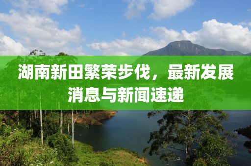 湖南新田繁榮步伐，最新發(fā)展消息與新聞速遞