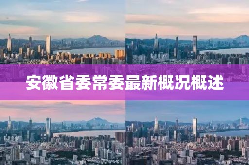 安徽省委常委最新概況概述