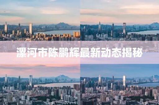 漯河市陳鵬輝最新動(dòng)態(tài)揭秘