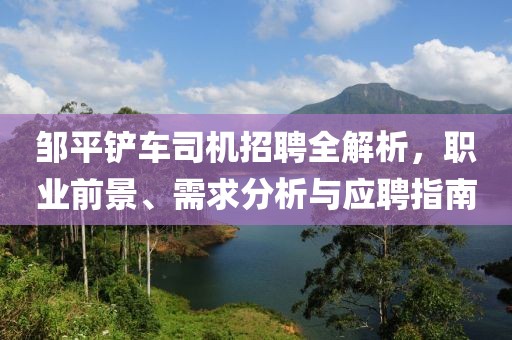 鄒平鏟車司機招聘全解析，職業(yè)前景、需求分析與應聘指南
