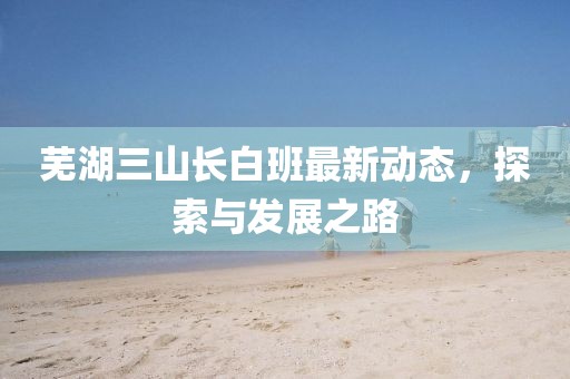 蕪湖三山長白班最新動(dòng)態(tài)，探索與發(fā)展之路