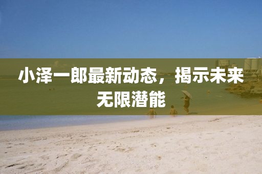小澤一郎最新動態(tài)，揭示未來無限潛能
