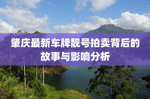 肇慶最新車牌靚號(hào)拍賣背后的故事與影響分析