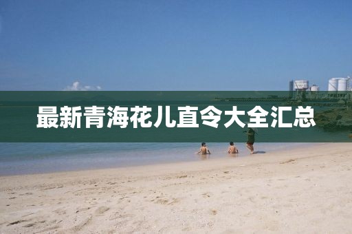 最新青?；▋褐绷畲笕珔R總