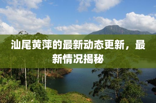汕尾黃萍的最新動(dòng)態(tài)更新，最新情況揭秘