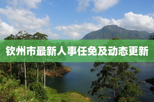 欽州市最新人事任免及動(dòng)態(tài)更新