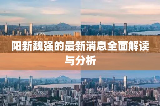 陽(yáng)新魏強(qiáng)的最新消息全面解讀與分析