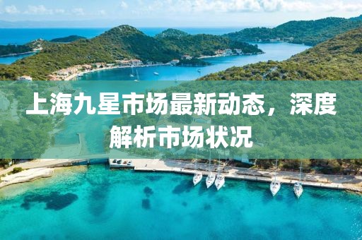 上海九星市場最新動態(tài)，深度解析市場狀況