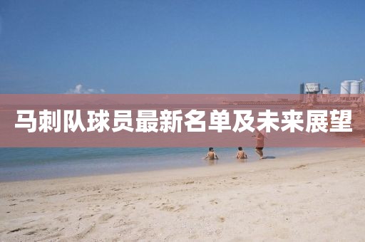 馬刺隊(duì)球員最新名單及未來展望