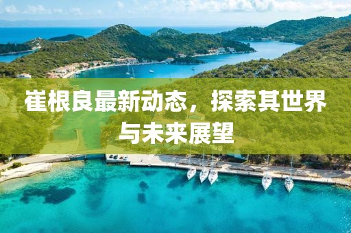 崔根良最新動態(tài)，探索其世界與未來展望