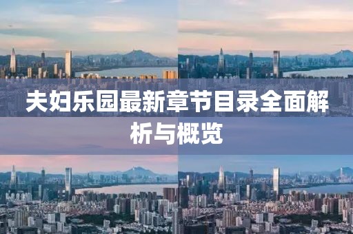 夫婦樂園最新章節(jié)目錄全面解析與概覽