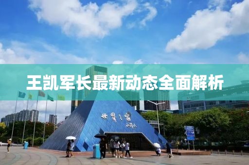 王凱軍長最新動態(tài)全面解析