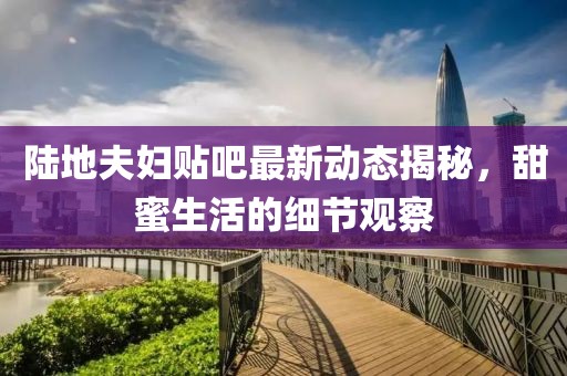 陸地夫婦貼吧最新動態(tài)揭秘，甜蜜生活的細節(jié)觀察