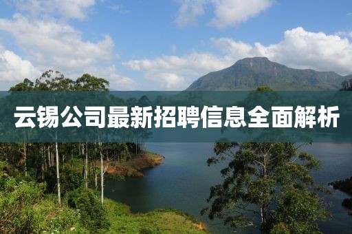 云錫公司最新招聘信息全面解析