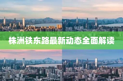 株洲鐵東路最新動態(tài)全面解讀