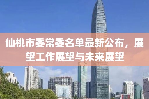 仙桃市委常委名單最新公布，展望工作展望與未來展望