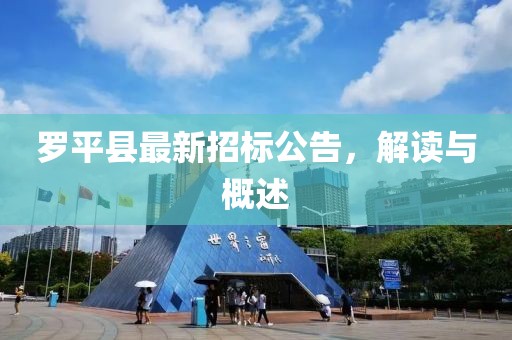 羅平縣最新招標(biāo)公告，解讀與概述