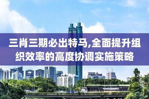 三肖三期必出特馬,全面提升組織效率的高度協(xié)調實施策略