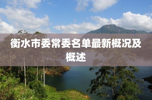 衡水市委常委名單最新概況及概述