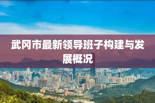 武岡市最新領(lǐng)導(dǎo)班子構(gòu)建與發(fā)展概況