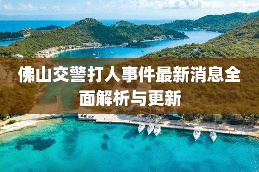 佛山交警打人事件最新消息全面解析與更新