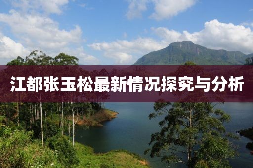 江都張玉松最新情況探究與分析