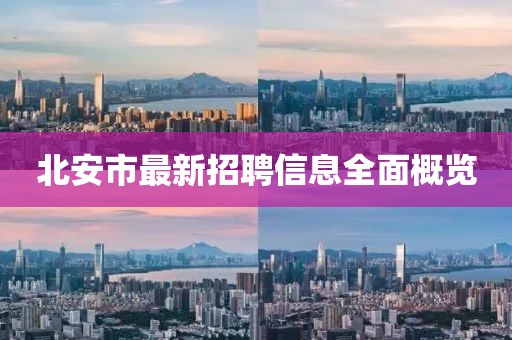 北安市最新招聘信息全面概覽