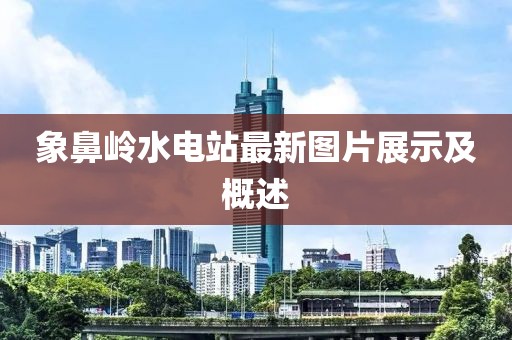 象鼻嶺水電站最新圖片展示及概述